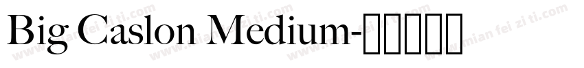 Big Caslon Medium字体转换